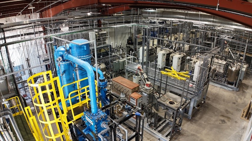 inside plant picture